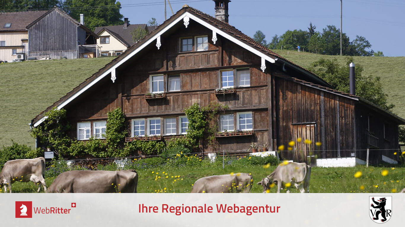 WebRitter Regionale Webdesign Agentur in Appenzeller Ausserhoden